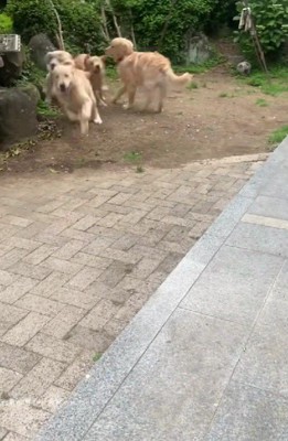 遊び方も豪快に！！