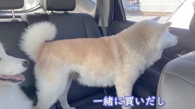 この日はハイテンション