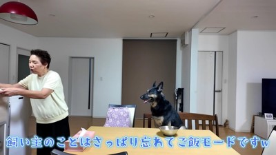 「夕飯だ！！」