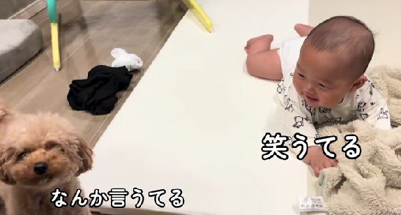 「なんかいうてる…」