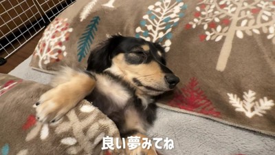 素敵な夢が見られそう♡