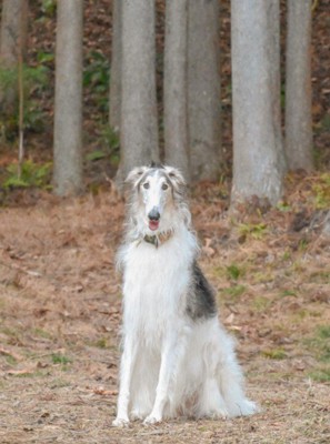 笑顔だって得意だよ