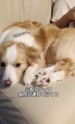 元気もなさそう…？