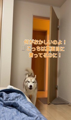 「なに笑ってるの！」