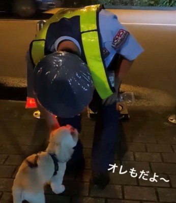 警備員を見つめる犬