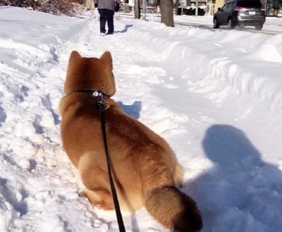 なかなか動かない朔ちゃん