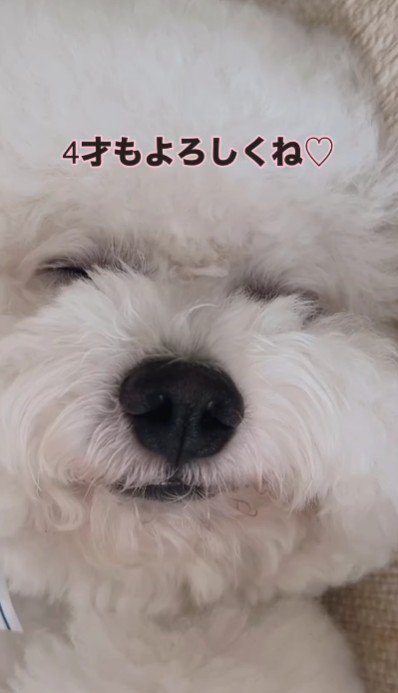 4歳の誕生日おめでとう!