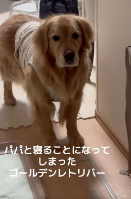 心底がっかり…！？