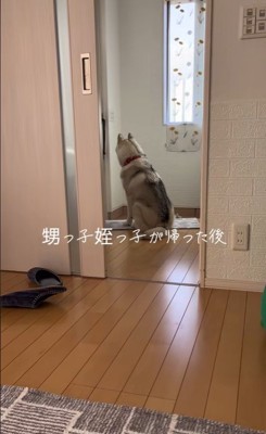 甥っ子と姪っ子が帰った後の神ちゃん7