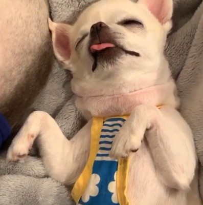 すくすく大きくなってね！！