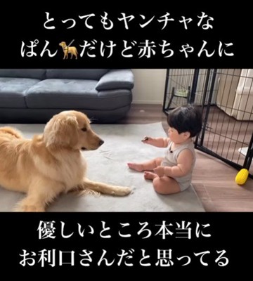 赤ちゃんに優しいぱん君2