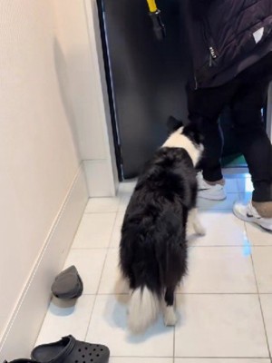 「もう行っちゃうの？」