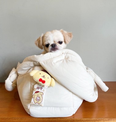 バッグから顔を出す犬