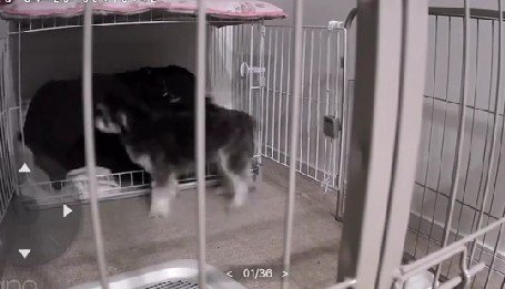 そのまま寝ちゃった！？