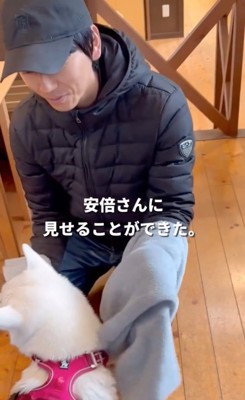 安倍さんと再会してお世話してもらうマナちゃん