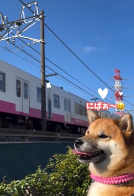 笑顔のくうちゃん