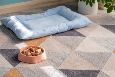 ベッド、フードが入ったボウル