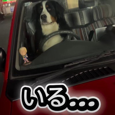本当に運転しそう…！