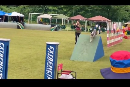 ゴールに向かうみかづきちゃん