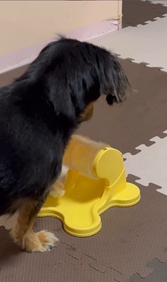 ごはんが出るオモチャで遊ぶれん君7