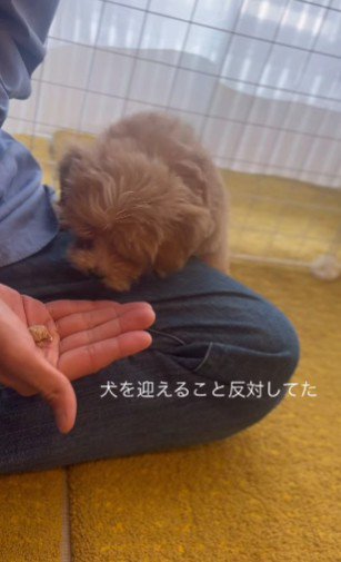 そんなパパが…
