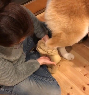 抜け毛対策の一環です