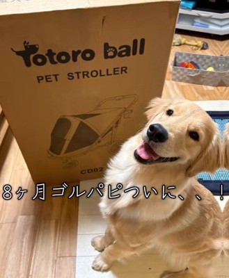 念願のカートをゲット♡