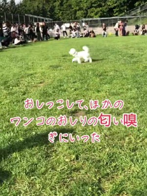 徐々にコースアウトして…