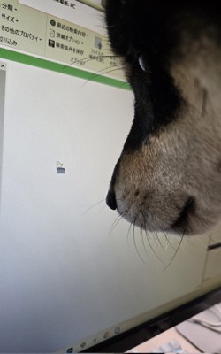 マウスカーソルが