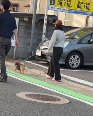 「そんなわけないよね」