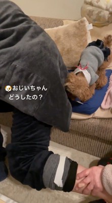 女性にマッサージされる男性の足を見つめる犬