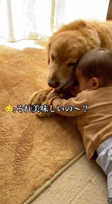 犬のおやつを掴む赤ちゃん