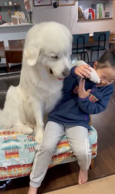 サンちゃんと女の子のやり取り9