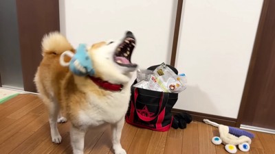 失敗することも♪