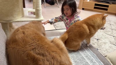 支え合う姿に心温まる…