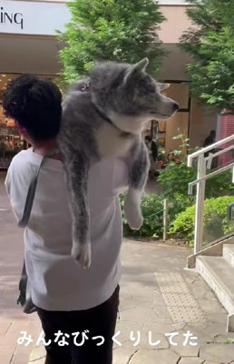 たくさんの視線を浴びることに