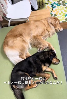 べる君とばむ君3