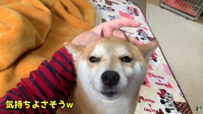 お部屋で仲良くまったり♪