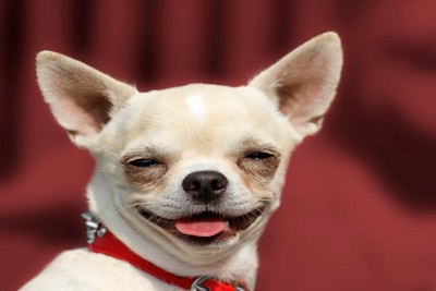 目を細めて笑う顔のアップ