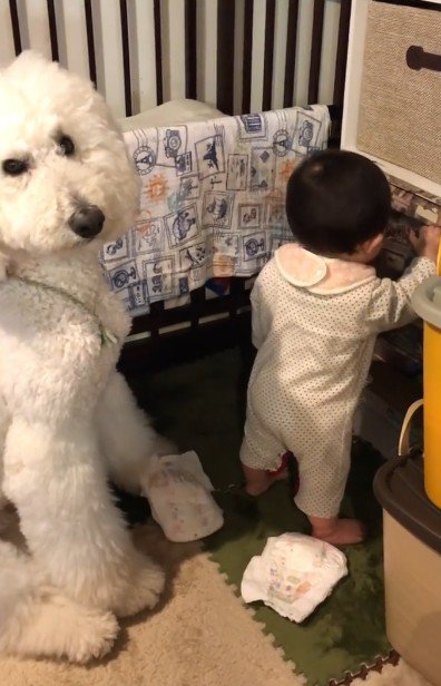 赤ちゃんのいたずら