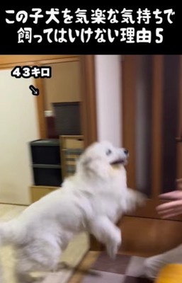 家族への愛が止まらない♡