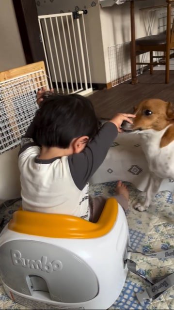 手で犬の鼻を押しのける赤ちゃん