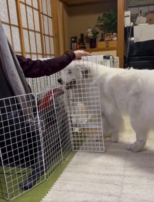 扉を開けたおじいちゃん