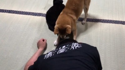 天くんを守っています！