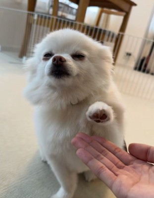 まるで静止画…?