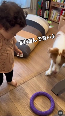 床に置いているおもちゃを見ている子供と犬