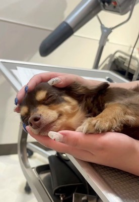 優しくしてくれてありがとう