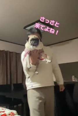 「さっさと来てよね!」