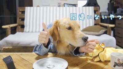 グッドサインをする犬