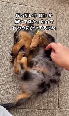 でも…掻いてるつもり…！